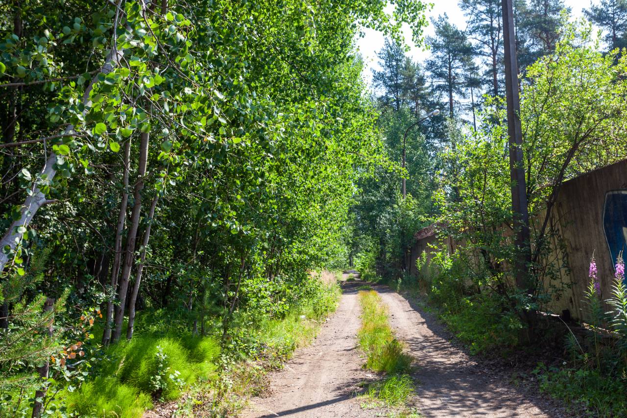 Здание водонапорной башни в Курортном районе Санкт-Петербурга: Зеленогорск,  ул. Красных Курсантов